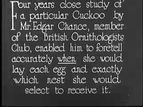 Intertitle about four years close study by Mr. Edgar Chance.