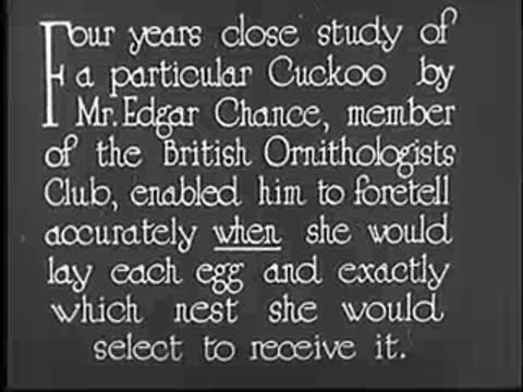 Intertitle about four years close study by Mr. Edgar Chance.