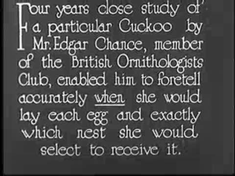 Intertitle about four years close study by Mr. Edgar Chance.