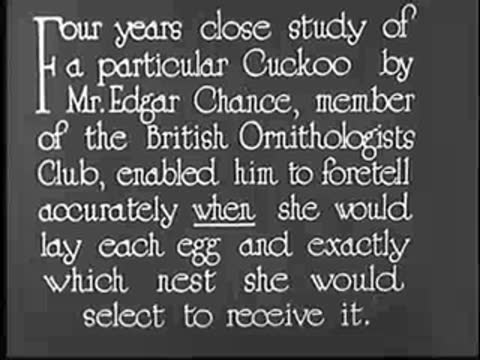 Intertitle about four years close study by Mr. Edgar Chance.