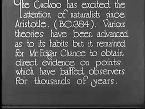 Intertitle about the cuckoo and Mr. Edgar Chance.