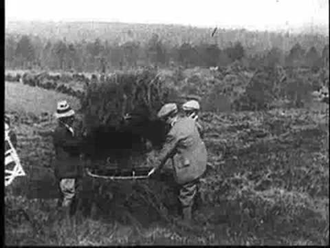 Men carrying a large bundle of camouflage brush across an open field.