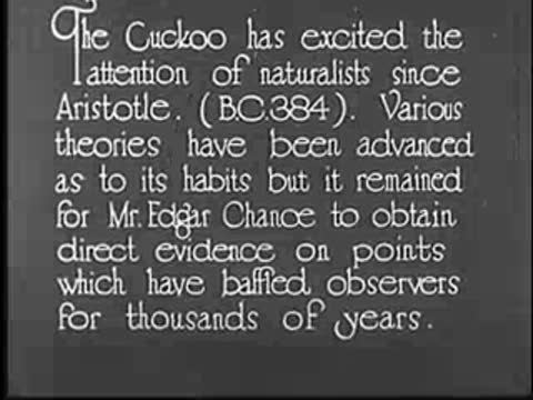 Intertitle about the cuckoo and Mr. Edgar Chance.