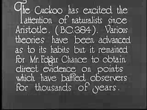 Intertitle about the cuckoo and Mr. Edgar Chance.