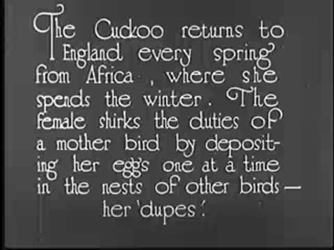 Intertitle: "The Cuckoo returns to England every spring..."