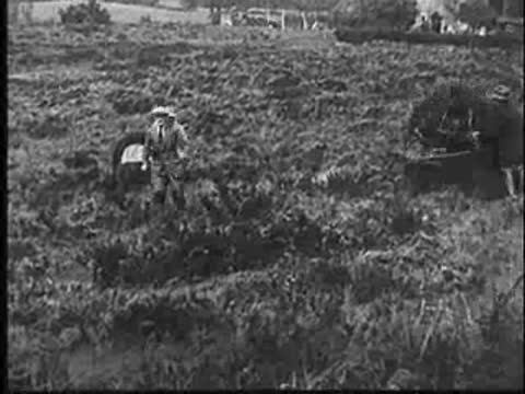 Medium shot of people examining a field, vintage documentary footage
