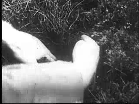 Close-up of human hands holding a nest in grass, vintage footage