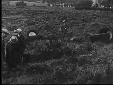 Medium shot of people gathered around a nest in a field, vintage footage