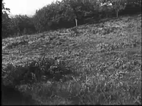 Wide shot of a grassy hillside and path, vintage documentary footage