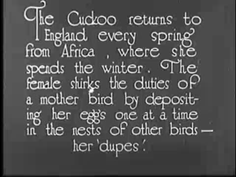 Intertitle: "The Cuckoo returns to England every spring..."