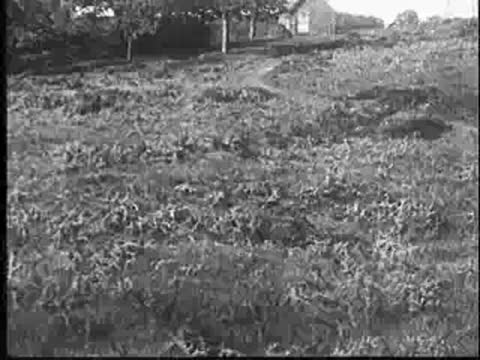 Wide shot of a grassy field with a distant building, vintage documentary footage