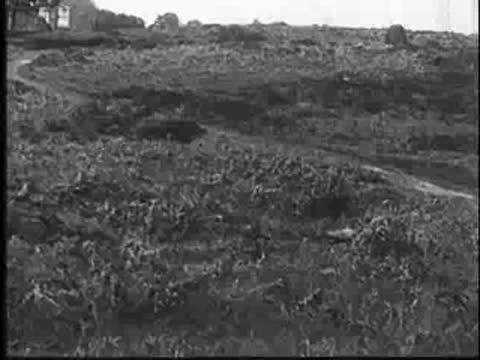 Wide shot of an open field with sparse vegetation, vintage documentary footage