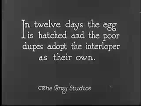 Title card with text about the hatched egg, vintage documentary