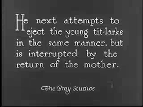Intertitle: "He next attempts to eject the young tit-larks...", Bray Studios.