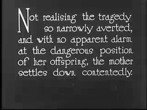 Intertitle: "Not realising the tragedy so narrowly averted, and with no apparent alarm..."