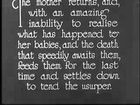 Intertitle with text about the mother feeding the cuckoo.