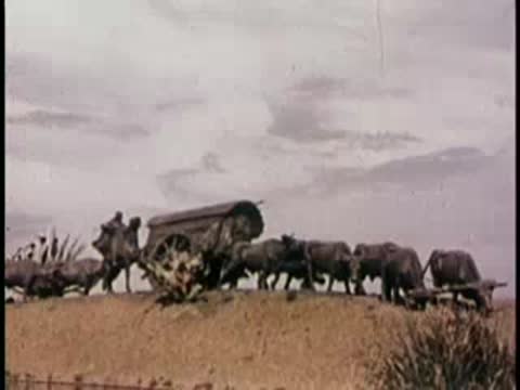 Old horse-drawn cart carrying cargo on a dirt road against sky.