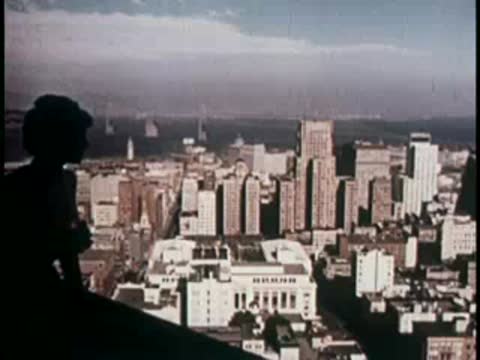Silhouette of a person looking at a city skyline from a high vantage point.