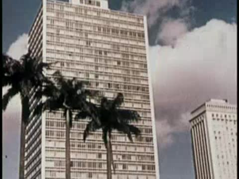 Tall white modern apartment building partially obscured by palm tree fronds.