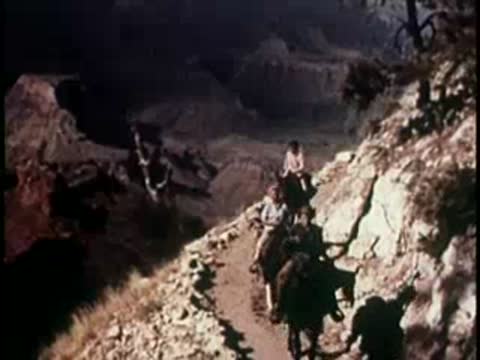 people riding horses and mules down a steep mountain trail in the grand canyon